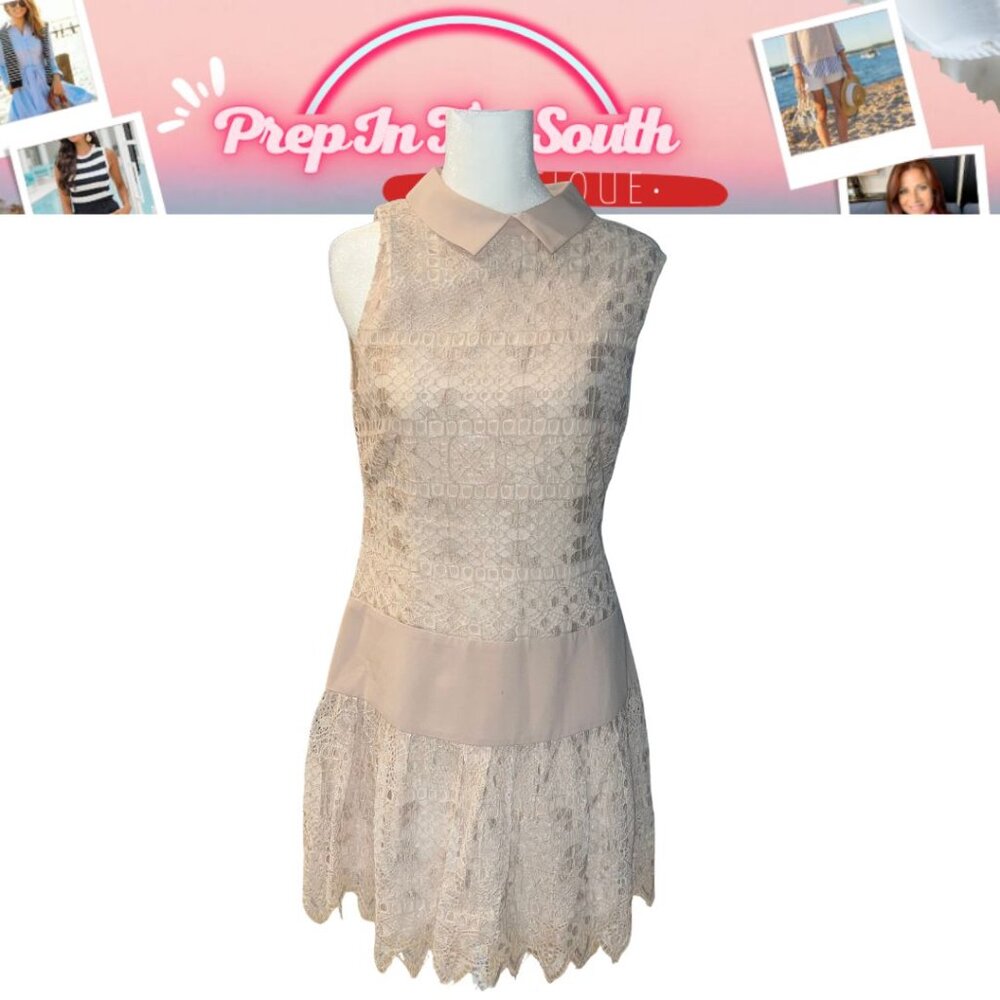 BCBGMAXAZRIA Marsha Champagne Lace Dress Sz 6 lace